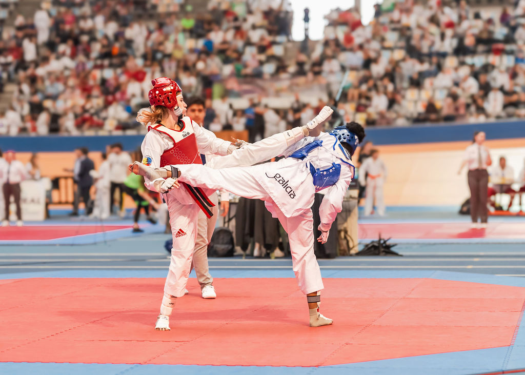 Federación de Taekwondo de la Comunidad Valenciana