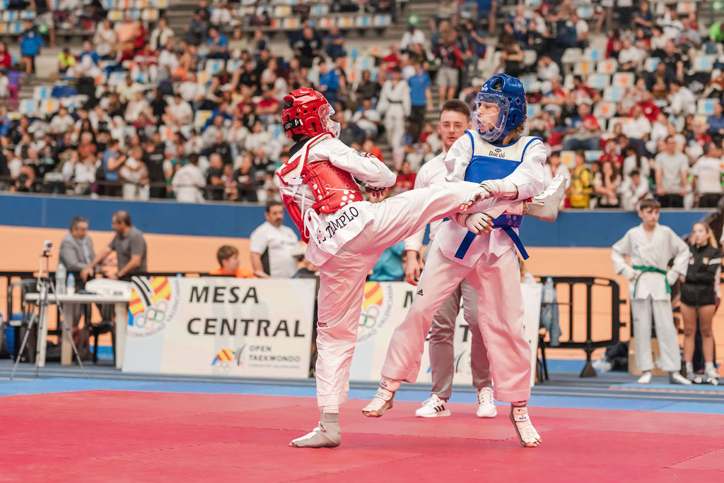 Federación de Taekwondo de la Comunidad Valenciana