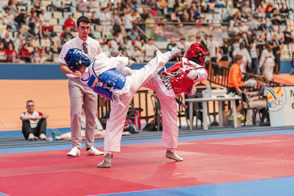 Federación de Taekwondo de la Comunidad Valenciana