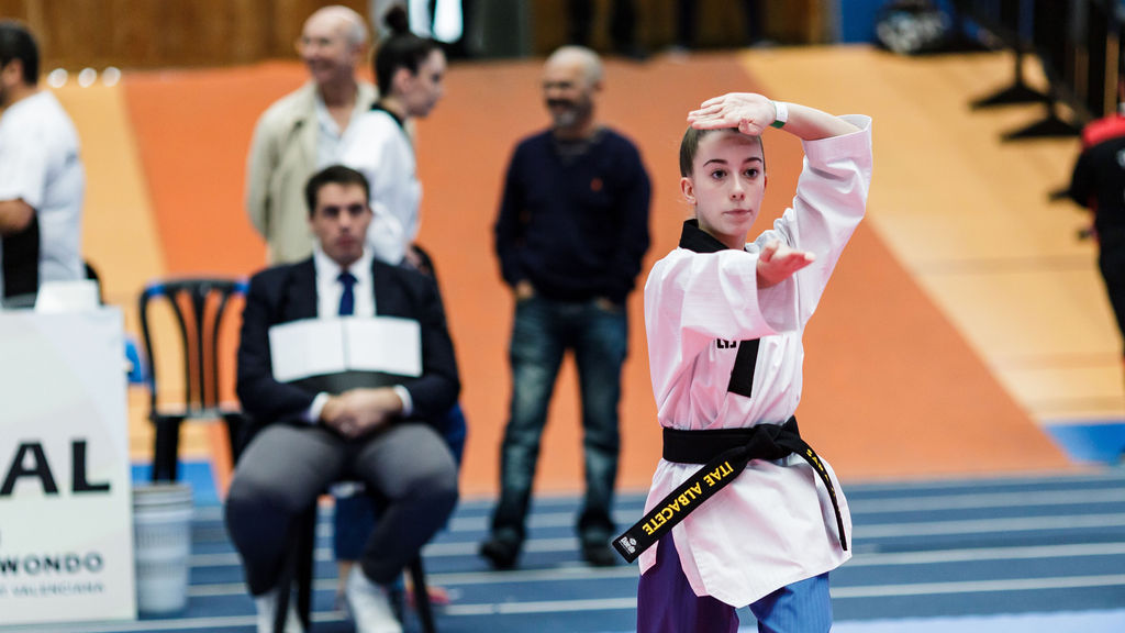 Federación de Taekwondo de la Comunidad Valenciana