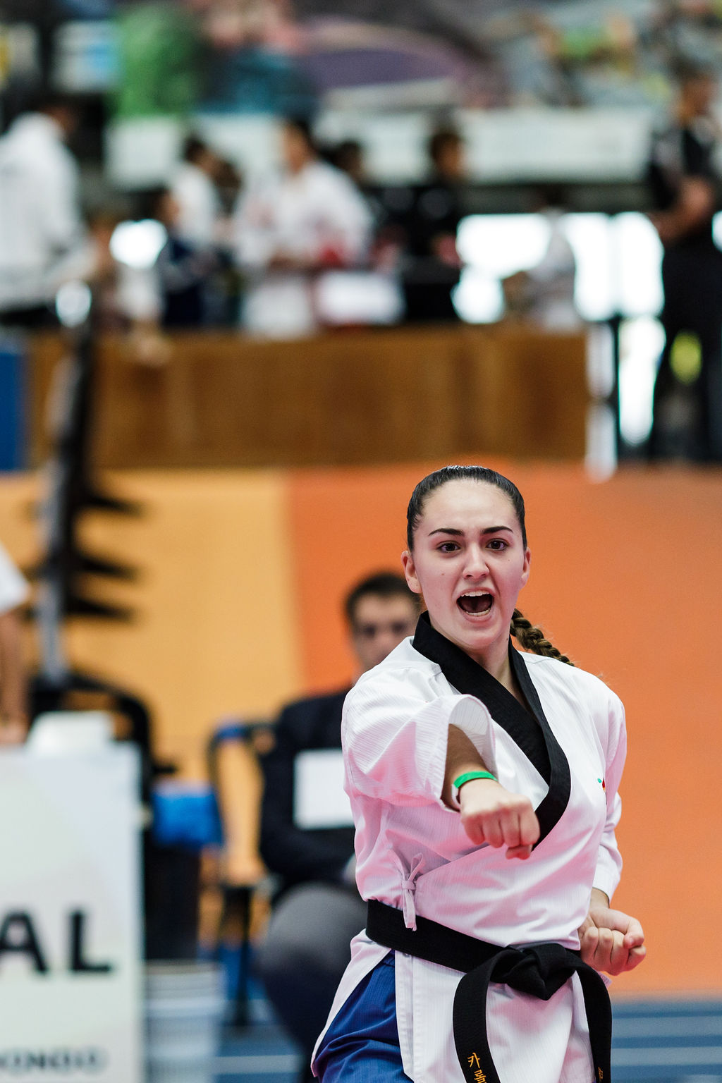 Federación de Taekwondo de la Comunidad Valenciana