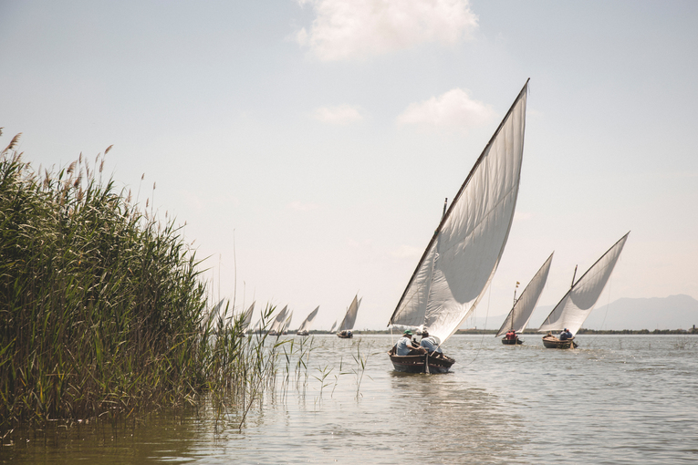 Albufera de Valencia