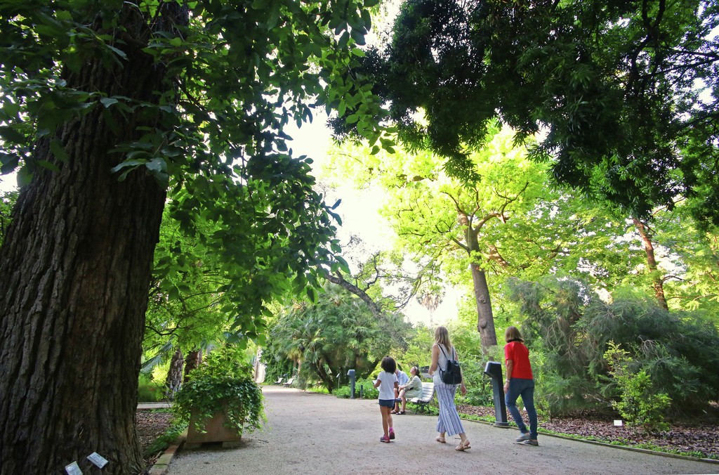 Jardín Botánico