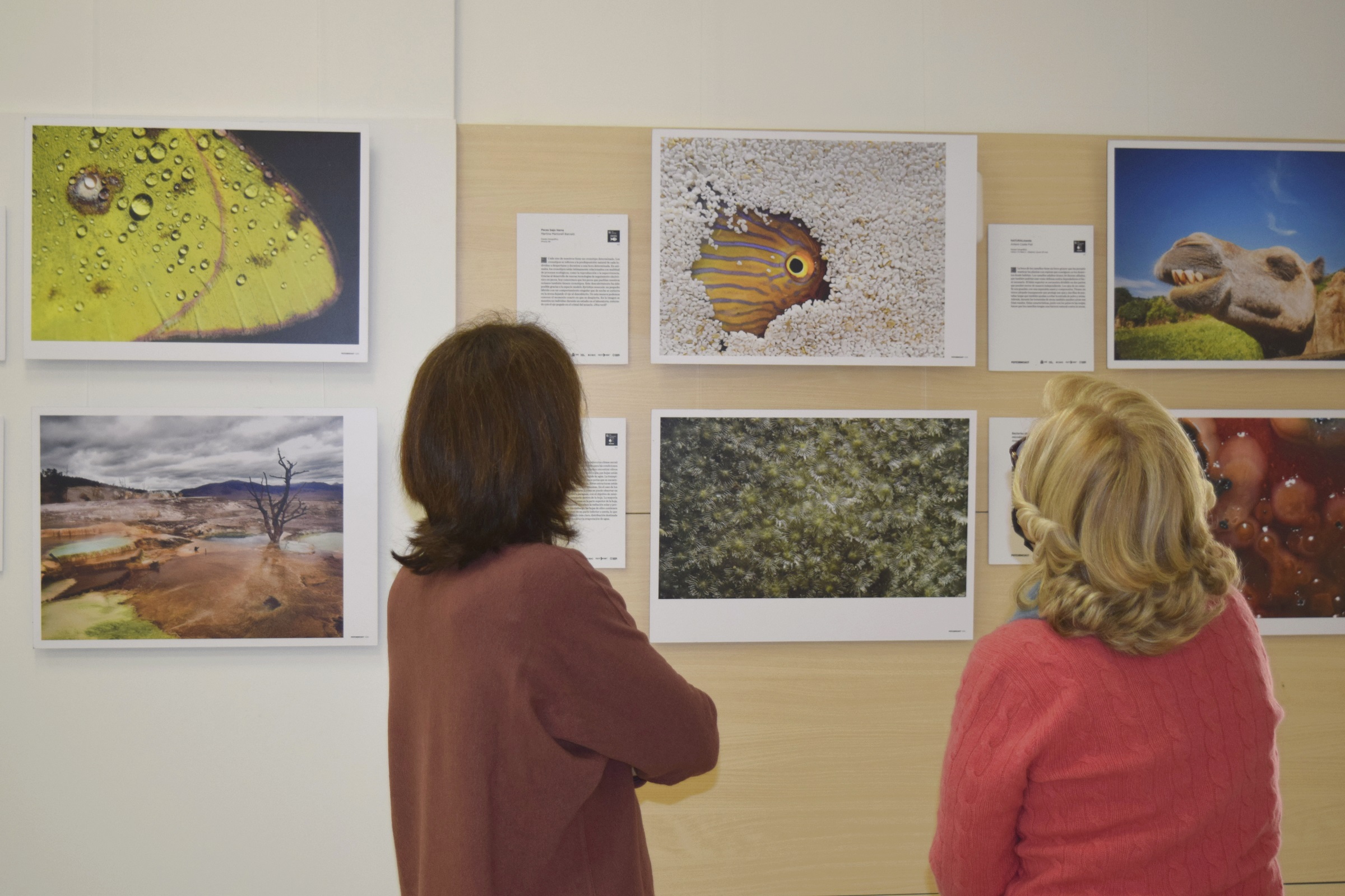 Fotociencia Valencia