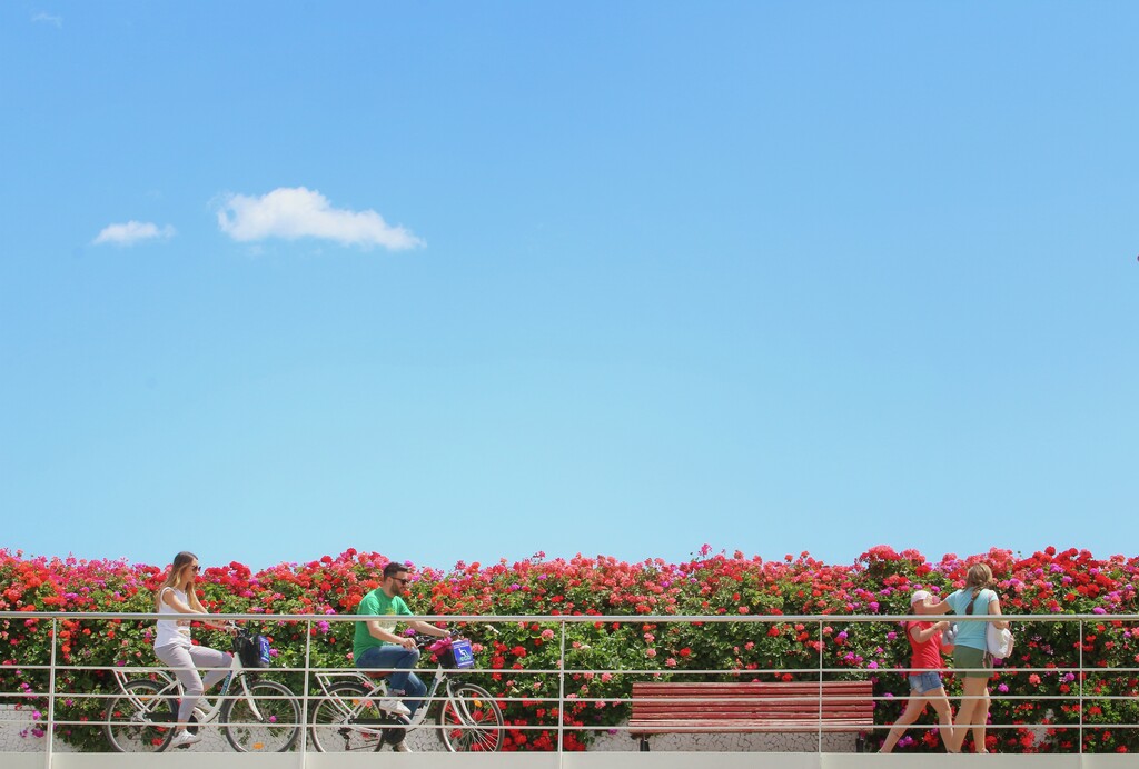 Puente de las flores