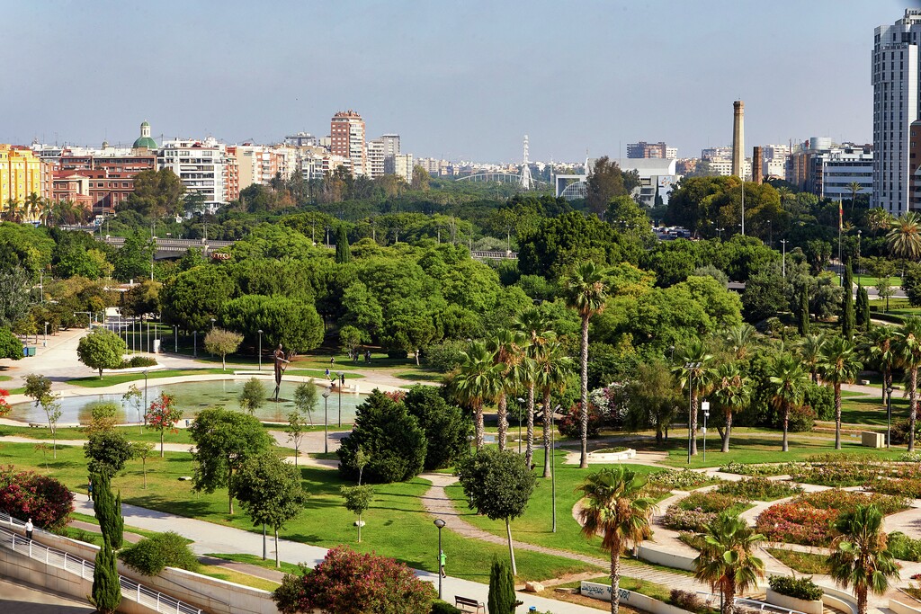 Valencia ciudad árborea