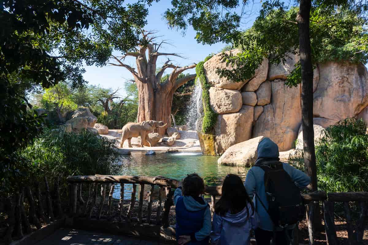 Nadal Verd en BIOPARC València