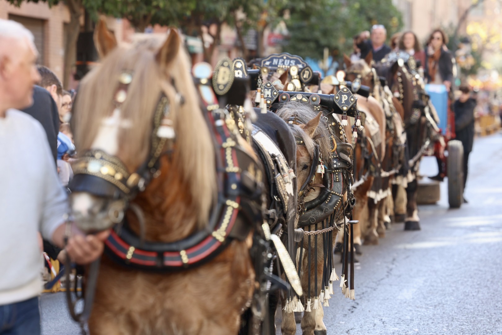 Fiestas de Sant Antoni 2024