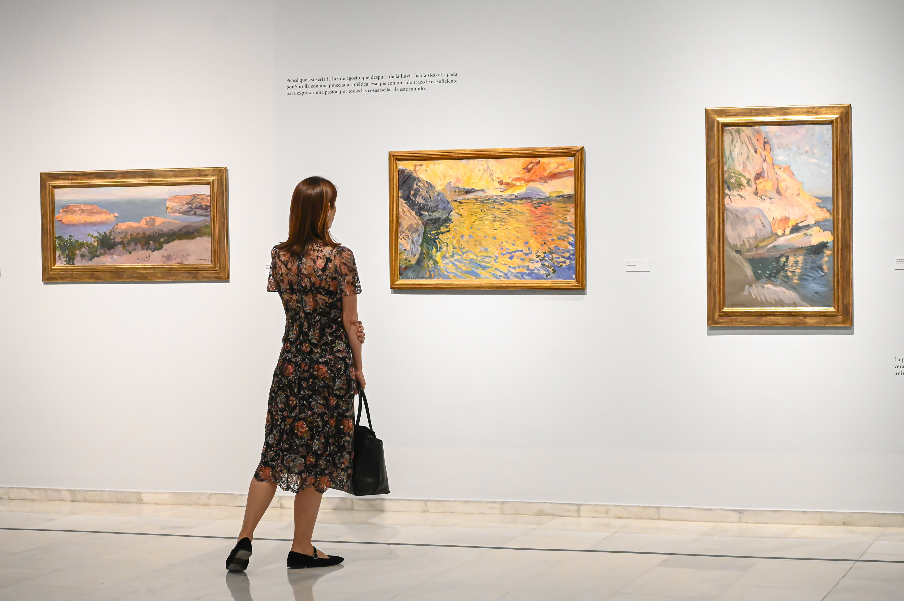 Exposición Sorolla Valencia