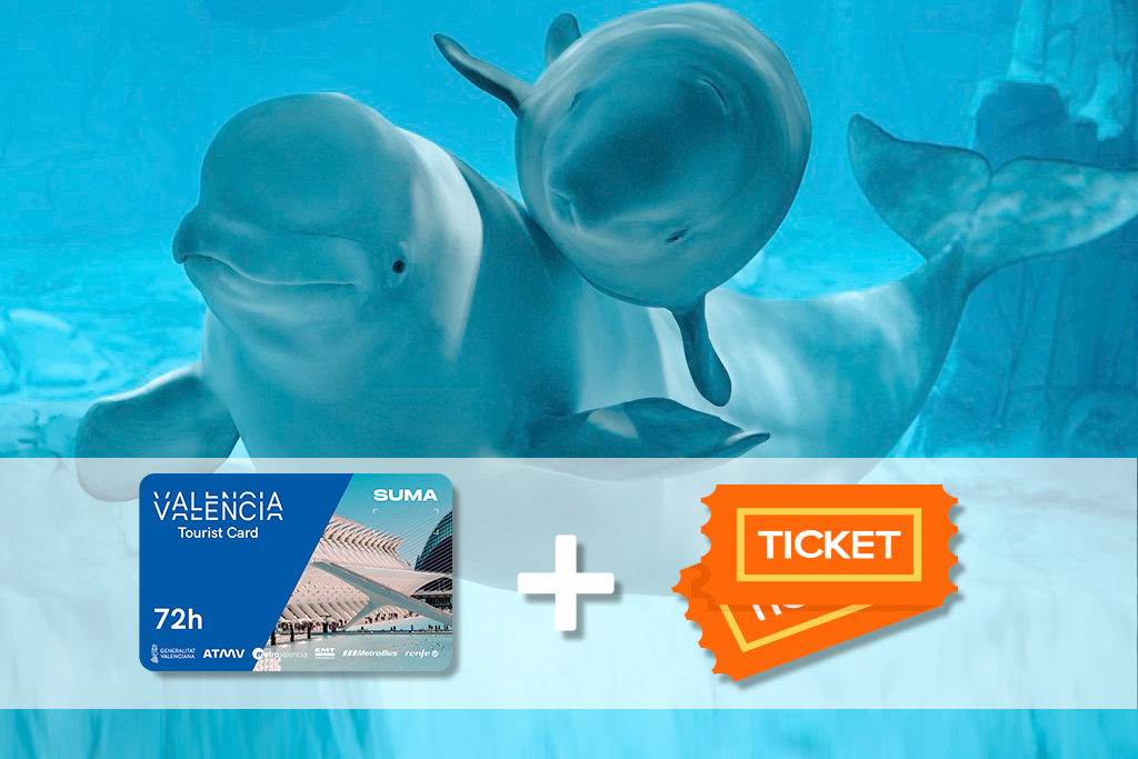 Valencia tourist card ticket Oceanografic
