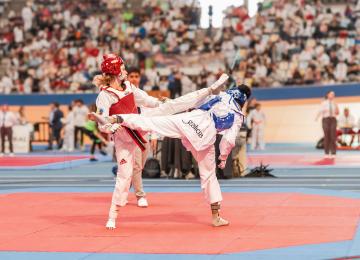 Federación de Taekwondo de la Comunidad Valenciana