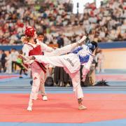 Federación de Taekwondo de la Comunidad Valenciana