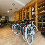 Pelican Bike Rentals