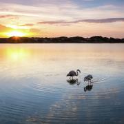 Albufera Valencia