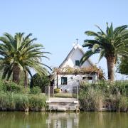 barraca en albufera