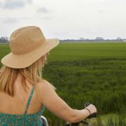 En bici por arrozales