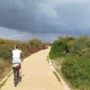 Visita guiada en bici por la Albufera con Bikes4tours