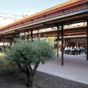 Mercado del Grao