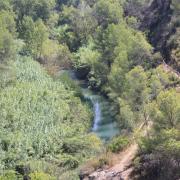 Parque natural del Turia