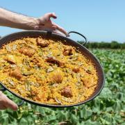 paella valenciana