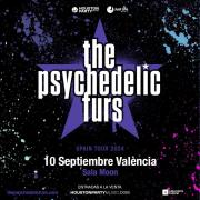 Concierto Psychedelic Furs Sala Moon València