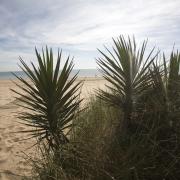 Playa El Saler