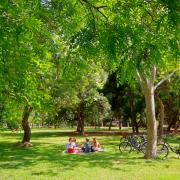 Jardín del Turia