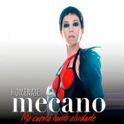 Cartel de Homenaje a Mecano: me cuesta tanto olvidarte