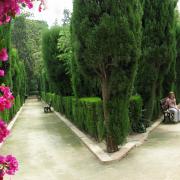 Jardín De Monforte (L'Hort De Romero)