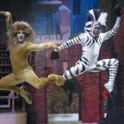 Madagascar el musical en València