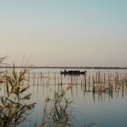 Parque Natural de l'Albufera