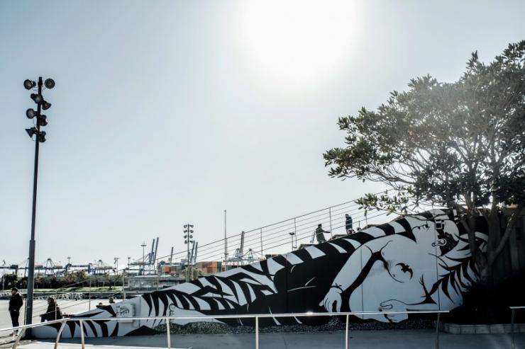 arte urbano en la marina graffitti zebra