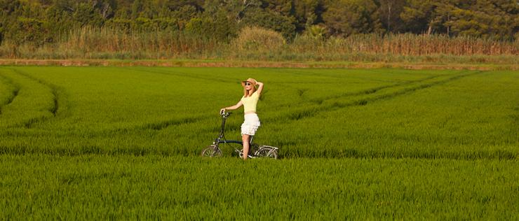 Albufera en bici